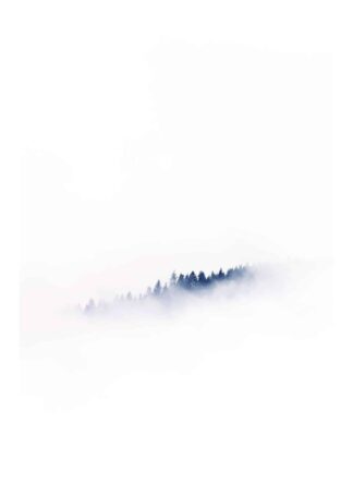 Mystic white foggy landscape poster