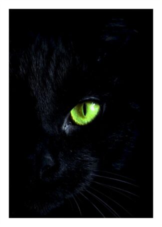 Black cat with green eye  poster