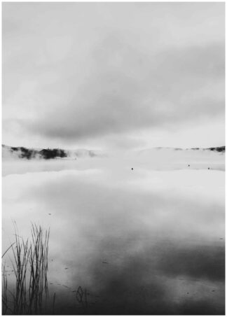 fog on lake poster