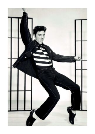 Elvis presley poster