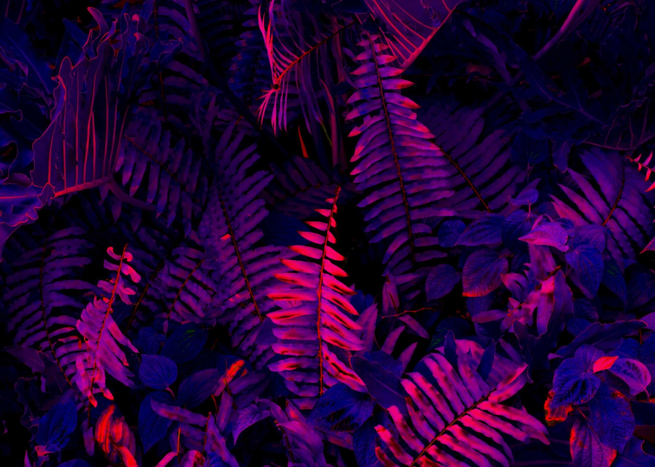 Dark purple tropical leaves poster