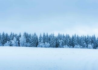 A snowy landscape from Sotkamo, Finland poster