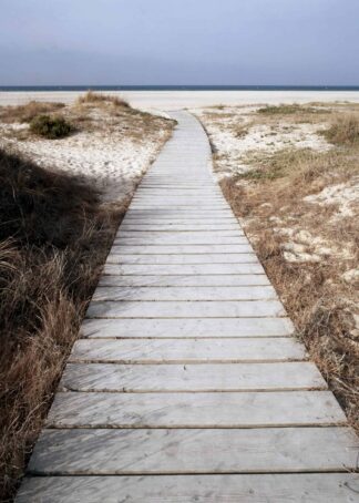 A peaceful boardwalk towards the beach poster