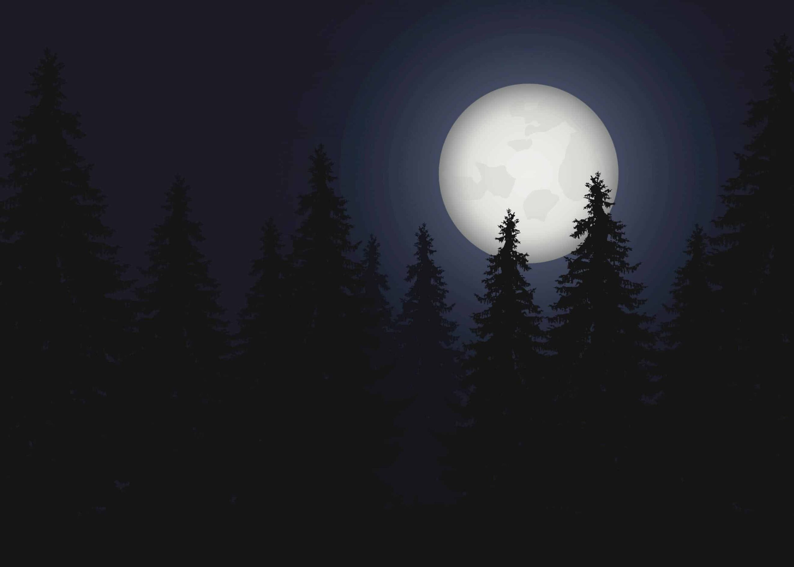 Pine trees under full moon vector illustration poster