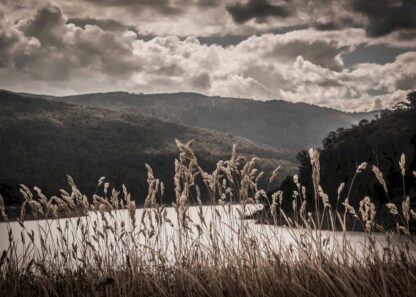 The Thomson Dam viewed through dry grass poster