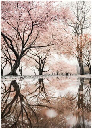 spring reflection on the water poster